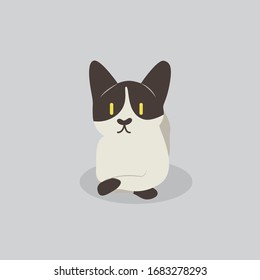 cat vector cartoon illustration. Cute friendly welsh cat, isolated on grey. Pets, animals, cat theme design element in contemporary simple flat style