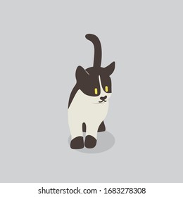 cat vector cartoon illustration. Cute friendly welsh cat, isolated on grey. Pets, animals, cat theme design element in contemporary simple flat style
