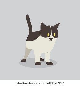 cat vector cartoon illustration. Cute friendly welsh cat, isolated on grey. Pets, animals, cat theme design element in contemporary simple flat style