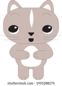 cat vector character graphic design