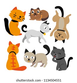 cat vector collection design