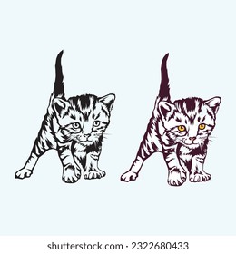 cat vector and Cute cat  illustration