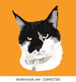 Cat Vector Design With Pumpkin Color Background