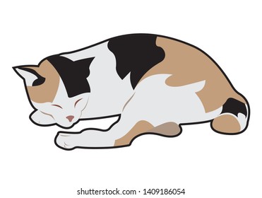 Cat vector designed by me for you.