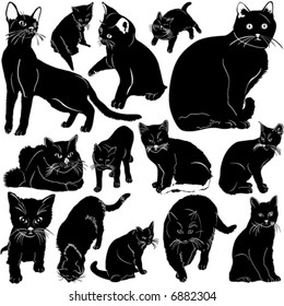 cat vector with details