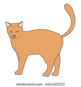 cat with vector flat design