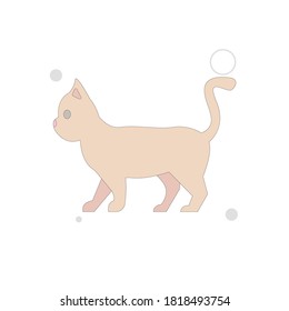 Cat vector flat illustration on white background