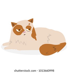 Cat vector icon.
