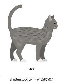 Cat vector icon