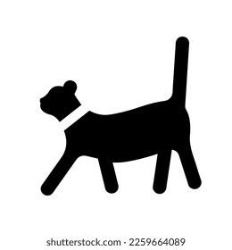 cat vector icon, black abstract kitty sign, simple kitten symbol, vet logo