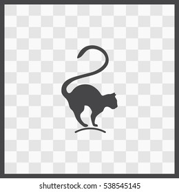 Cat vector icon. Isolated illustration. Business picture.