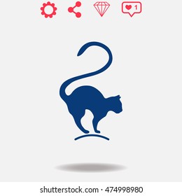 Cat vector icon on grey background.