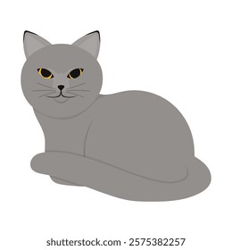 Cat Vector Illustration - 04