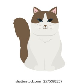 Cat Vector Illustration - 09