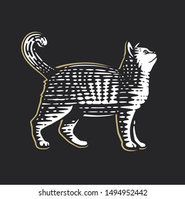 Cat. Vector illustration. Black and white vector objects.
