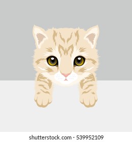 Ilustración del vector de gato. Corto cabello británico Kitty