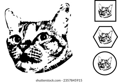 ilustración vectorial de gato Puede utilizarse como imagen de fondo y diseño de logotipo