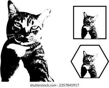 ilustración vectorial de gato Puede utilizarse como imagen de fondo y diseño de logotipo