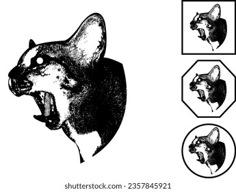 cat vector illustration Can be used as a background image and logo design