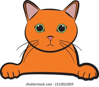 cat vector illustration cartoon animal