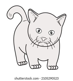 Katzenvektor. Illustration, Cartoon-Zeichnung.