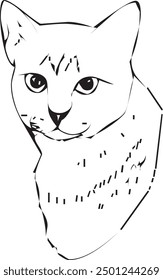 Cat Vector Illustration - Cartoon Line Art Clipart 