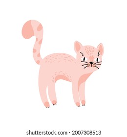 Cat vector illustration. Cute cat. Pink cat. Kittens isolated. cute baby illustration for print. Vector illustration. Moustachioed faces, pets. Scandinavian style. Feline domestic trendy pet. 