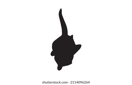 cat vector illustration design black and white