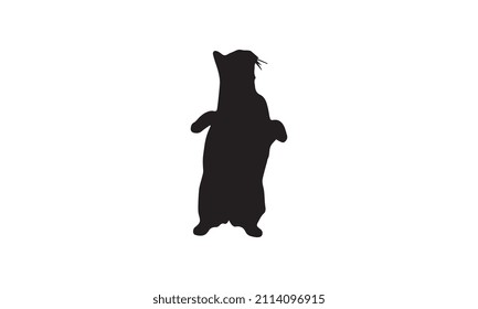 cat vector illustration design black and white