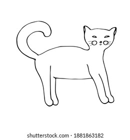 Cat, vector illustration, doodle, hand drawing