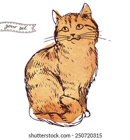 Cat, vector illustration, hand-drawn cute fluffy cat, painted in watercolor.