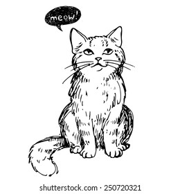 Cat, vector illustration, hand-drawn cute fluffy cat.