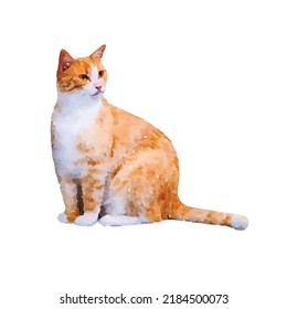 Cat vector illustration. Kitten on white background. Red cat bird hand drawn. Kitty picture. Domestic pet. Clipart for logo, greeting card and design.