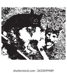 Cat vector illustration line art drawing black and white kitten