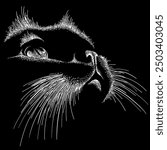 
Cat vector illustration on black background for tattoo, t-shirt design or print. Cute cat background in print style. Graphic sketch of a domestic cat on a black background, vector