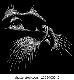 
Cat vector illustration on black background for tattoo, t-shirt design or print. Cute cat background in print style. Graphic sketch of a domestic cat on a black background, vector