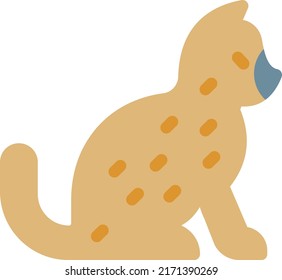 ilustración del vector gato en un fondo transparente. Símbolos de calidad superior. Iconos vectoriales de color de línea para el concepto y el diseño gráfico.