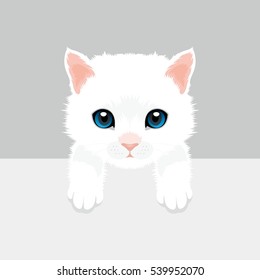 Cat Vector Illustration. Persian kitty