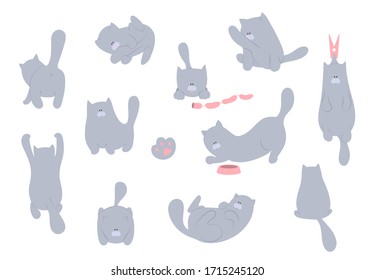 Cat vector illustration. Set cartoon cats flat design.