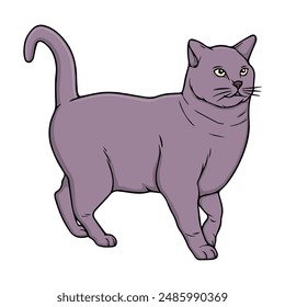 Ilustración vectorial de gato, aislado sobre fondo blanco, vista superior