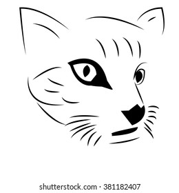 cat - vector illustrator