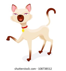 Cat vector isolated on white