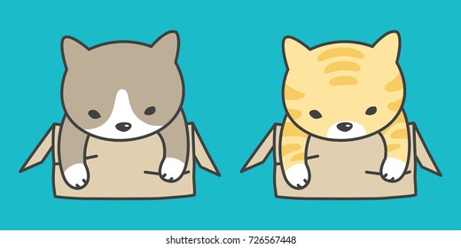 cat vector logo icon breed kitten in the box illustration doodle cartoon