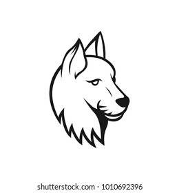 Cat vector mascot logotype sport head animal illustration emblem isolated