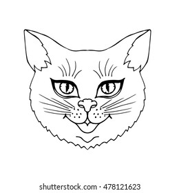 Cat vector on a white background. Object isolated illustration. Doodle style. Cloth design, wallpaper, wrapping, textiles, paper, cards, invitations, holiday, birthday, child. Color magic art. Eps10.