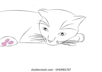 Cat vector picture Black line drawing cat sleeping and dreaming on a white background. Make a logo, print a sticker, decorate various patterns.                     