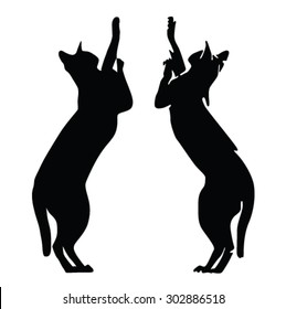 cat vector silhouette
