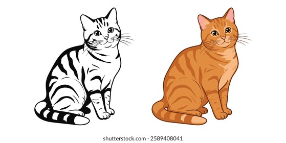 A cat Vector and silhouette illustration with white background