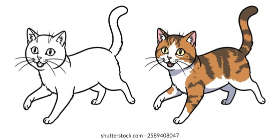 A cat Vector and silhouette illustration with white background