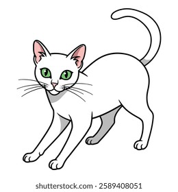 A cat Vector and silhouette illustration with white background